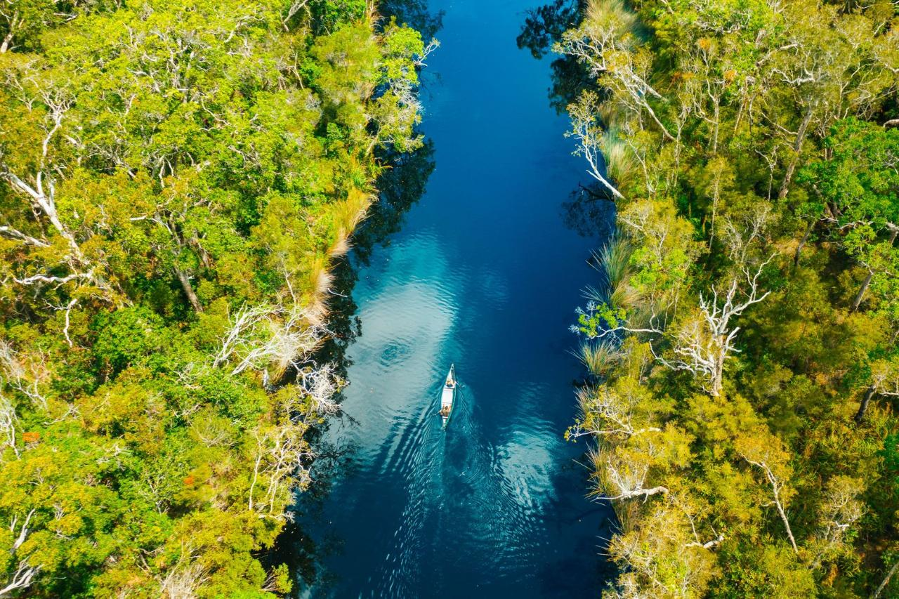 Tasty Everglades - Photo 1 of 9