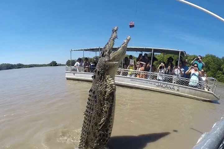 The Croc Bus to the Famous Jumping Crocodile Cruise - Photo 1 of 24