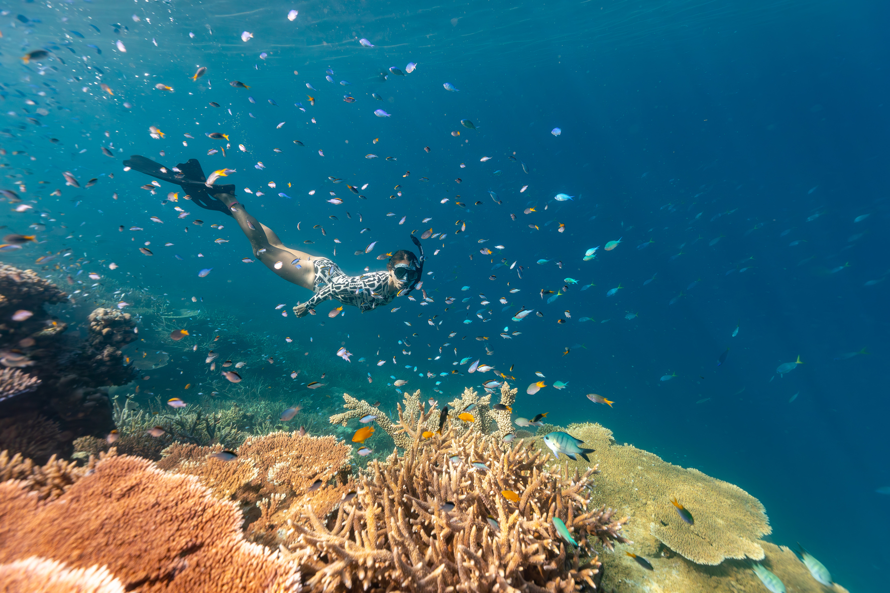 Airline Beach: Thundercat Outer Reef Snorkel Tour - Photo 1 of 9