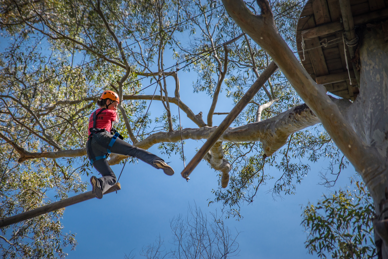 Tree Ropes Course - Photo 1 of 4