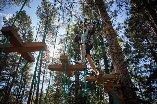 Tree Ropes Course - Photo 1 of 3