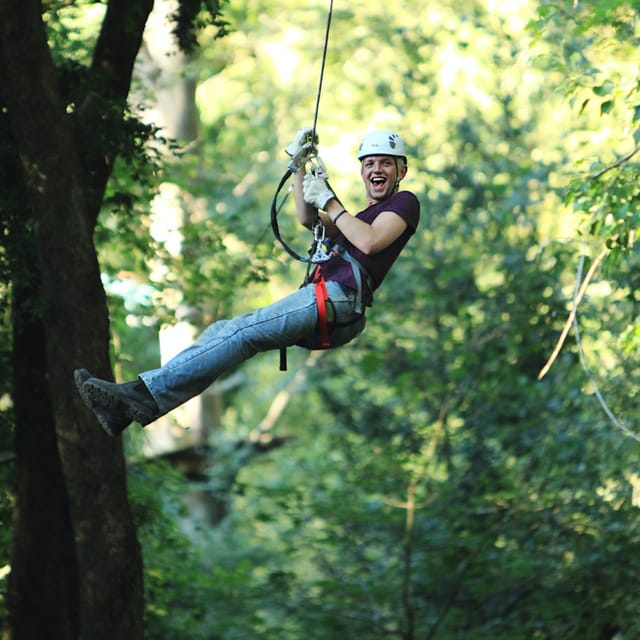 Treetops Adventure: Belgrave Park - Photo 1 of 6