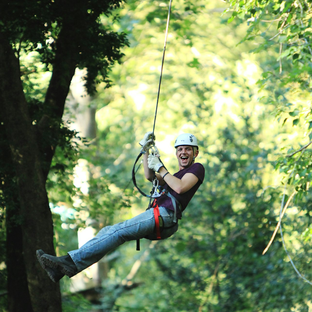 Treetops Adventure: Belgrave Park - Photo 1 of 6