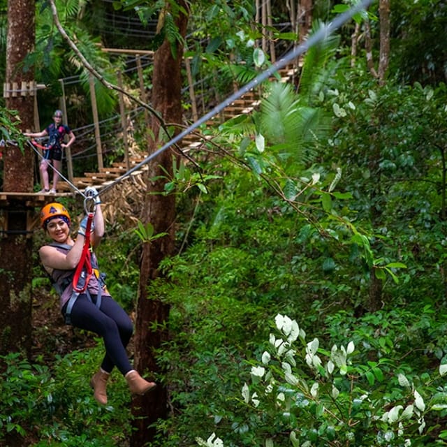 Treetops Adventure - Cape Tribulation - Photo 1 of 5