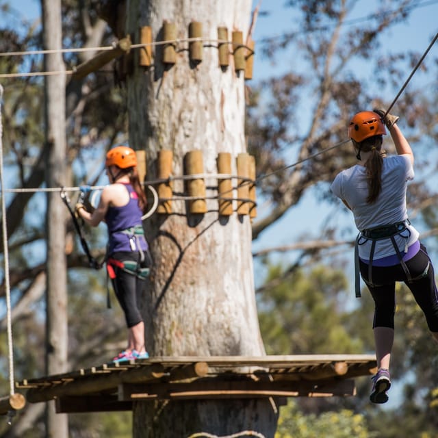 Treetops Adventure: Nowra Park - Photo 1 of 3