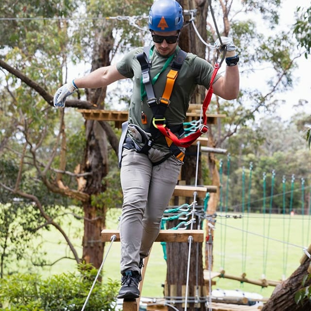 Treetops Adventure: St Ives - Photo 1 of 3