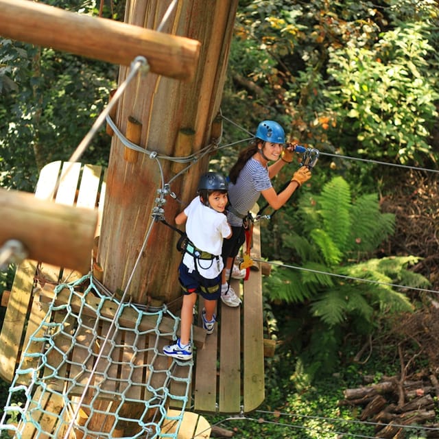 Treetops Adventure: Yeodene Park - Photo 1 of 6