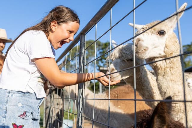 Trevena Glen Farm Animal Experience - Photo 1 of 7