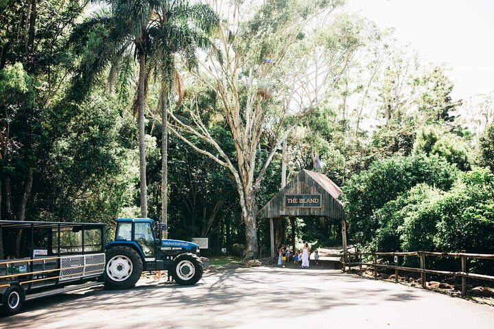 Tropical Fruit World Farm Full Tour  - Photo 1 of 22