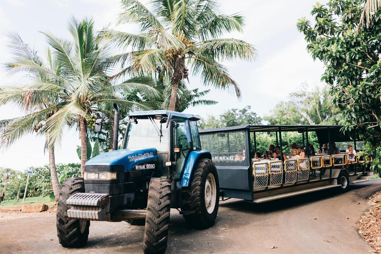 Tropical Fruit World Shuttle Service - Photo 1 of 9