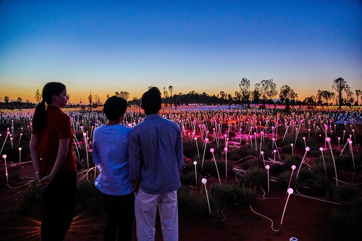 Uluru (Ayers Rock) Field of Light Sunrise Tour - Photo 1 of 10