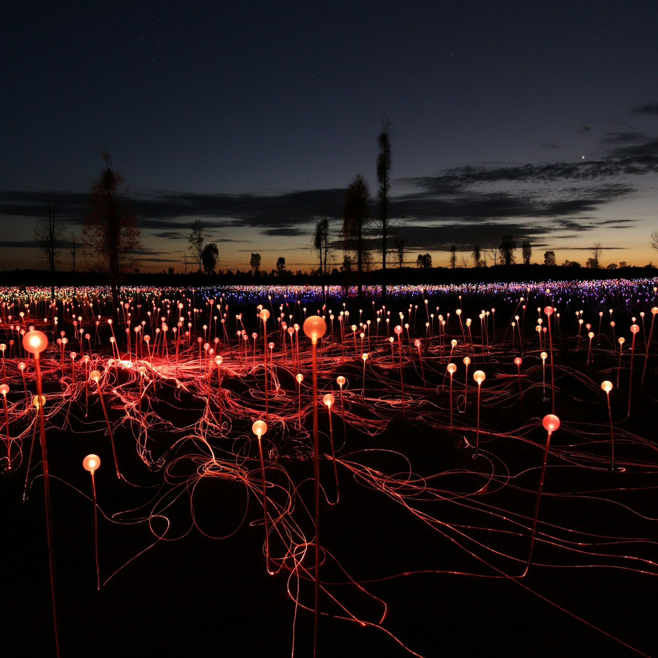 Uluru: Field of Light General Admission - Photo 1 of 7