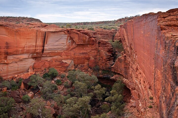 Uluru, Kata Tjuta and Kings Canyon Camping Safari from Ayers Rock - Photo 1 of 2