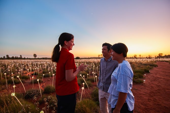 Uluru Sunrise Field of Light Tour | Northern Territory | Australia | Pelago