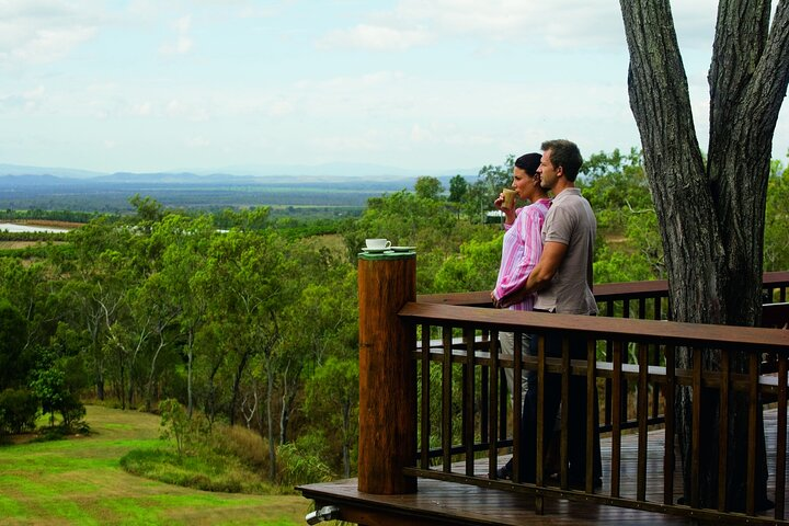 Enjoy Lunch, Coffee and Coffee Liqueur Tasting at Australia's Oldest Coffee Plantation 