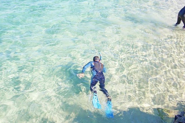 Wave Break Island Snorkel Tour on the Gold Coast - Photo 1 of 25