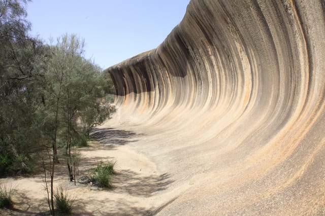 Wave Rock, York Wildflowers and Indigenous Culture Tour - Photo 1 of 5