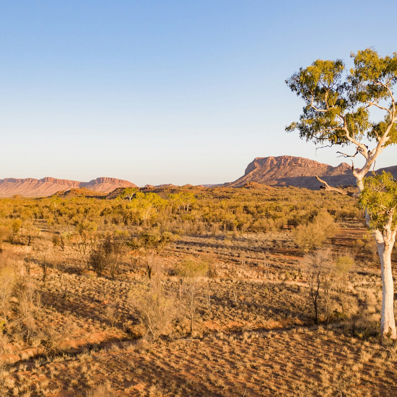 West MacDonnell Ranges: 1-Day Tour - Photo 1 of 4