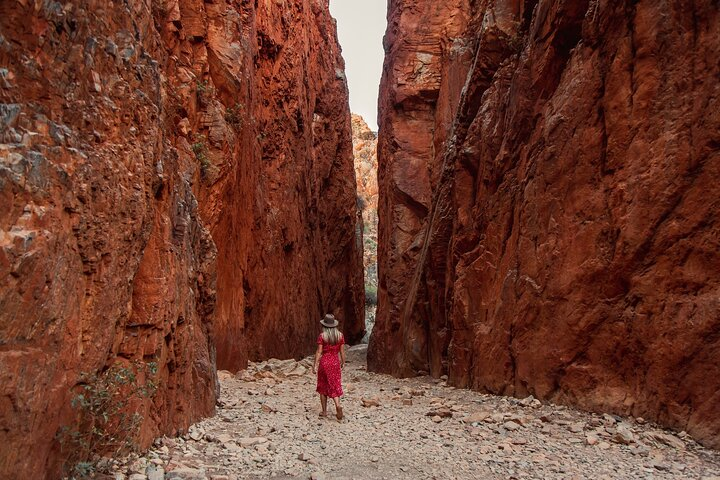 West MacDonnell Ranges & Standley Chasm Day Trip from Alice Springs - Photo 1 of 11