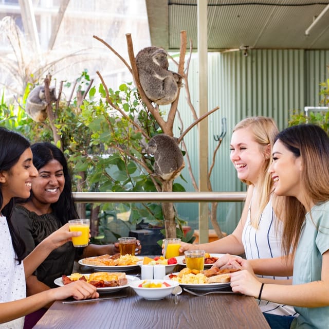 WILD LIFE Sydney: Breakfast with the Koalas - Photo 1 of 4