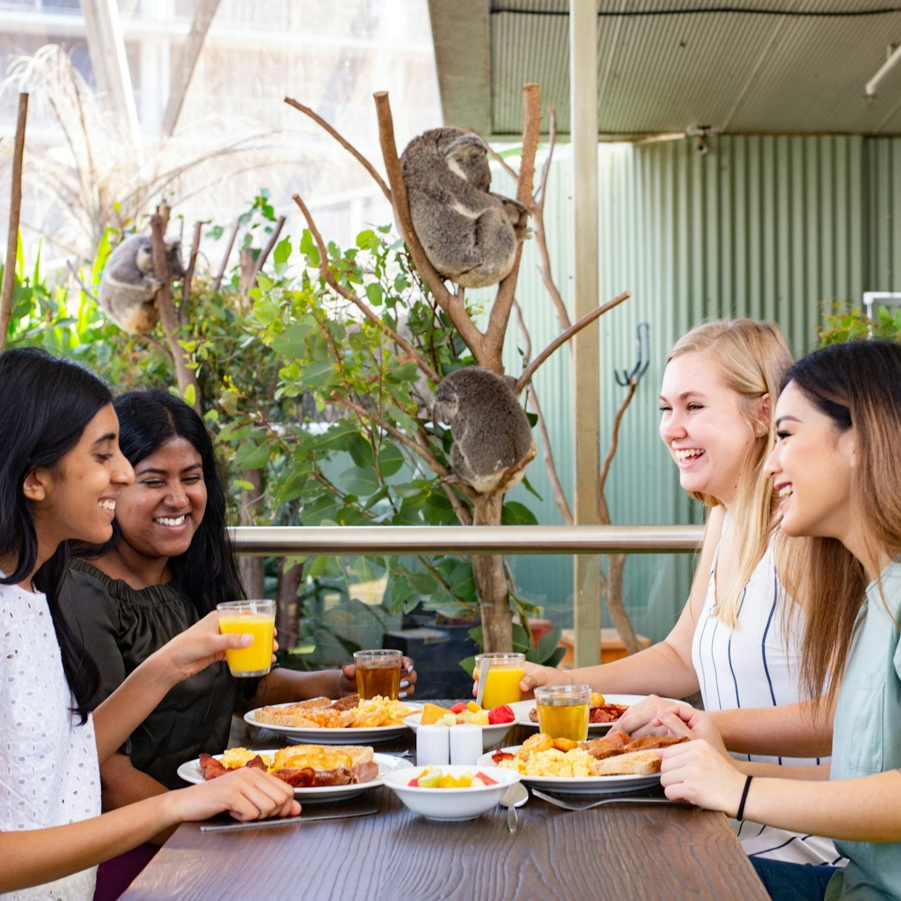 WILD LIFE Sydney: Breakfast with the Koalas - Photo 1 of 4