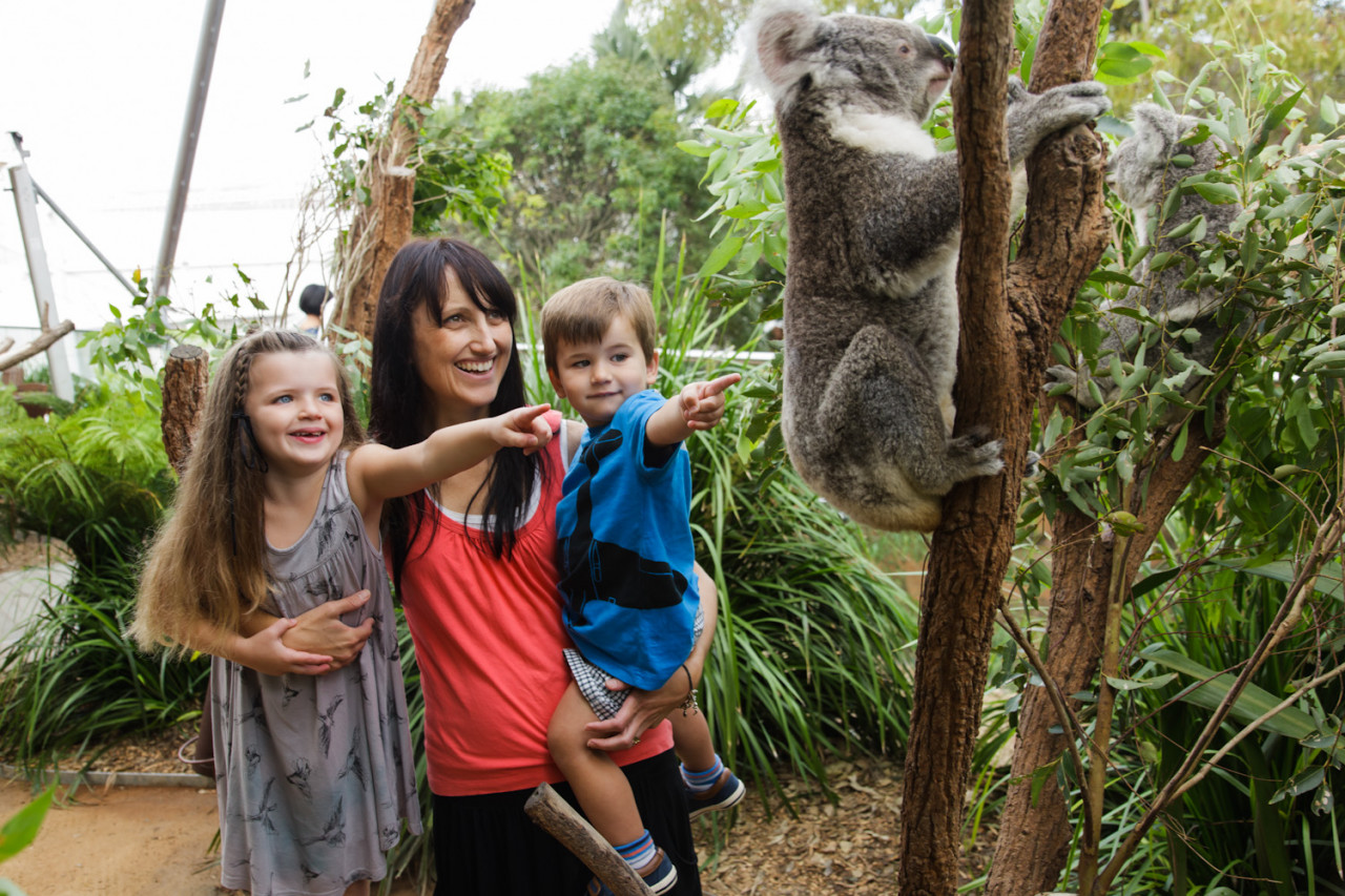 WILD LIFE Sydney Zoo - Photo 1 of 10