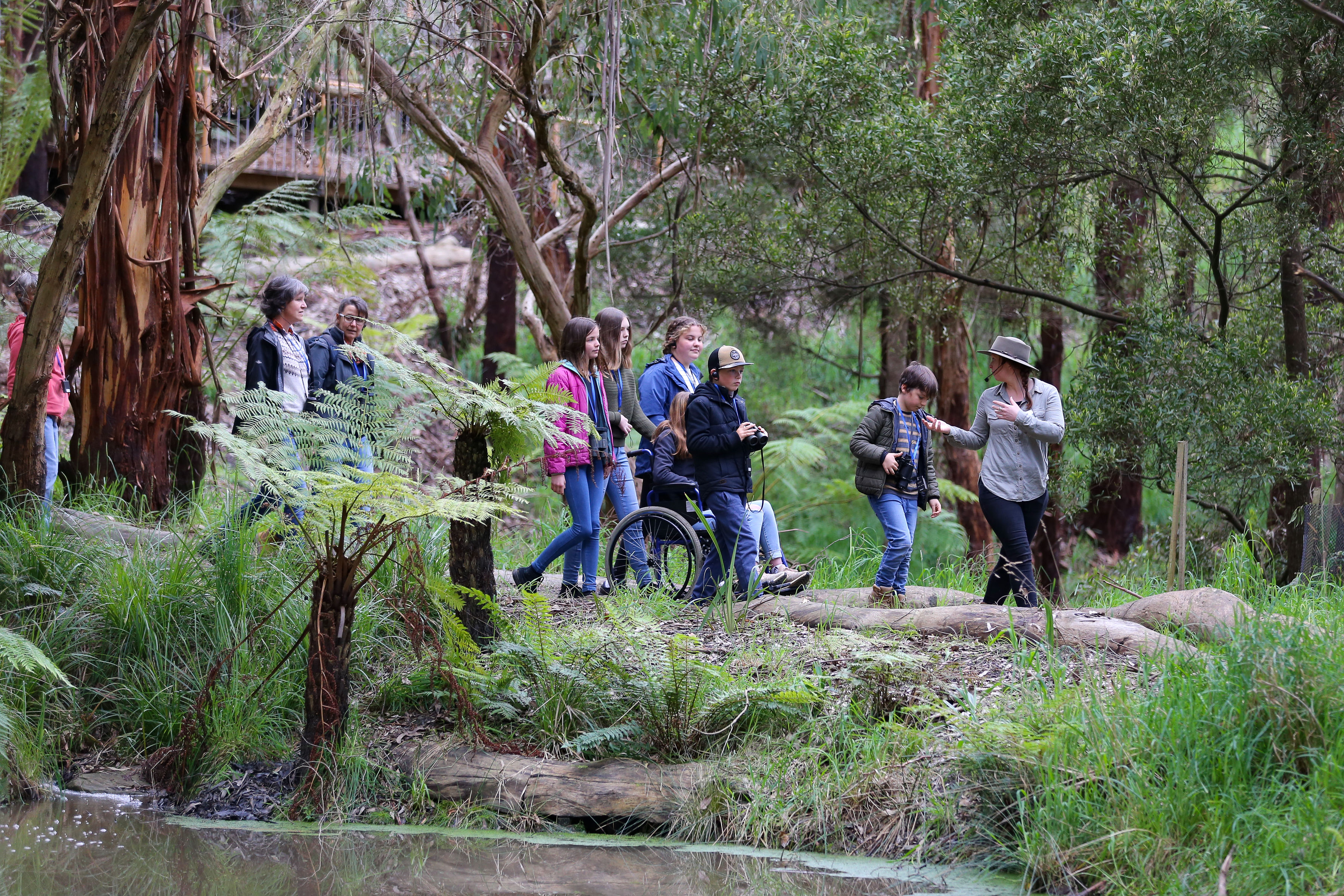 Wildlife Wonders Dusk Discovery Guided Tour - Photo 1 of 10