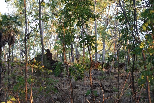 Discover 16-Mile Camp and the bush defences used by sentries protecting the entry to Darwin.