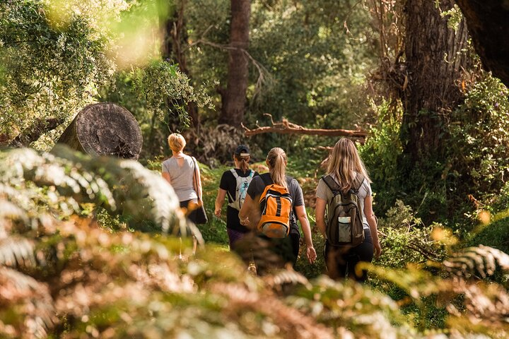 Yanchep Ultimate Adventure Guided Hike Tour - Photo 1 of 6