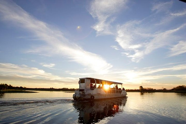 Yellow Water Cruise