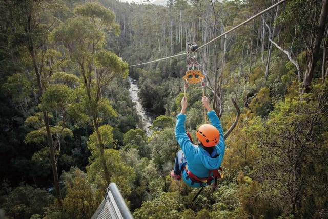 Zipline Tour - Photo 1 of 3