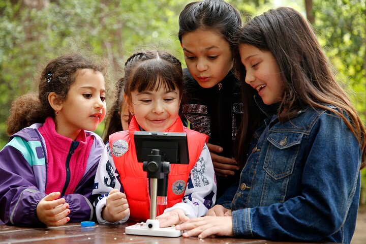 Child Weekly Meetings Experience in Baku - Photo 1 of 6