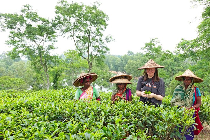 Private Sreemangal Tour Package from Dhaka: Srimangal Nature Tour - Photo 1 of 12