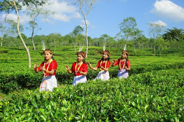 Tea Capital Srimangal and famous Munipoori Tribal