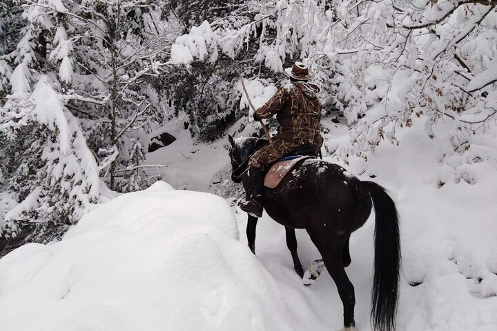 1 Hour Waterfalls Canyon Private Horse Riding in Smolyan  - Photo 1 of 6