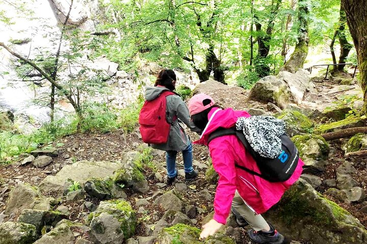 Mt. Vitosha and Boyana Waterfall Hiking Tour from Sofia - Photo 1 of 14