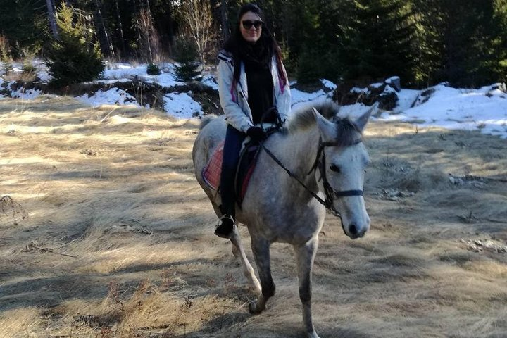 Private 2-Day Horseback Riding in Rhodope Mountains from Plovdiv - Photo 1 of 10