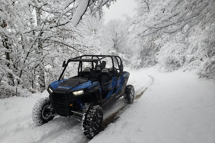 Superb buggy experience in Pamporovo