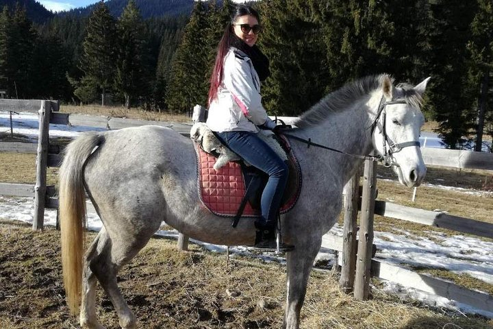 Private Horse Riding in Rhodope Mountains from Plovdiv - Photo 1 of 10