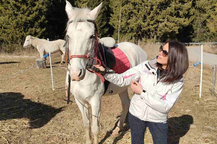 Private Horse Riding in Teteven Balkan from Sofia - Photo 1 of 6