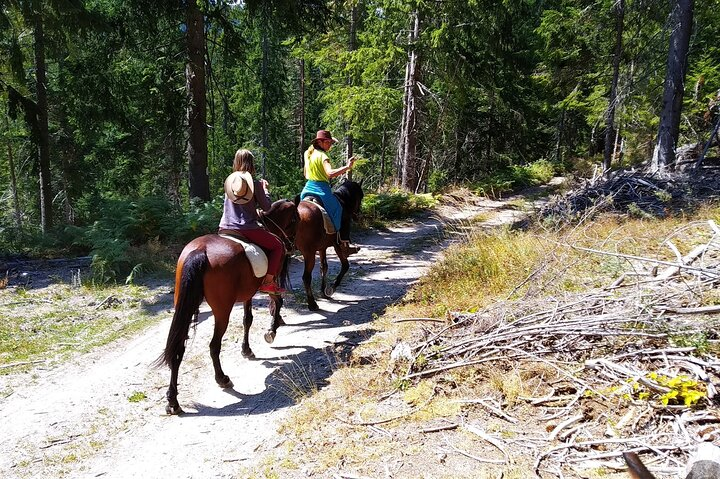 Private Horse Riding Tour To the Perelik Top in Smolyan - Photo 1 of 6