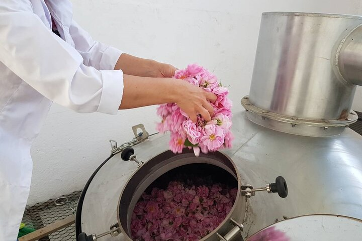 Private Rose Picking in Vrav along the Danube - Photo 1 of 6