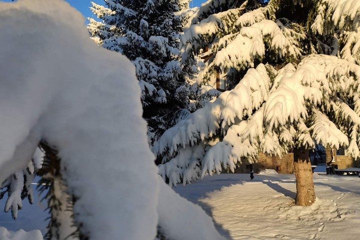 Private Snowshoeing Vitosha for 1 day - Photo 1 of 8