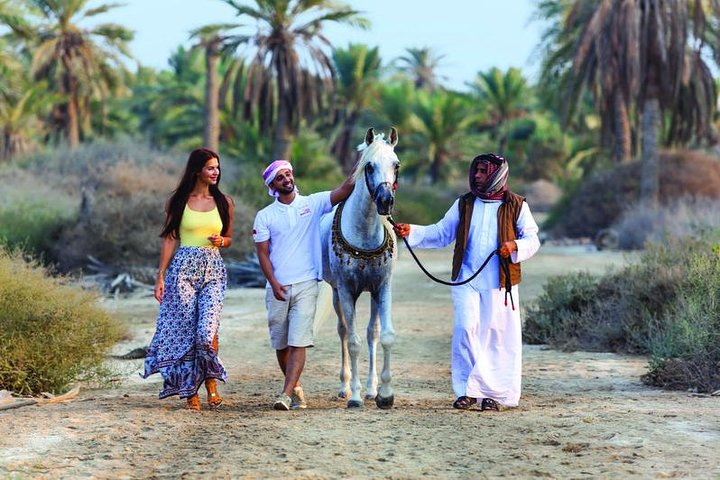 Arabian Morning Horse Experience