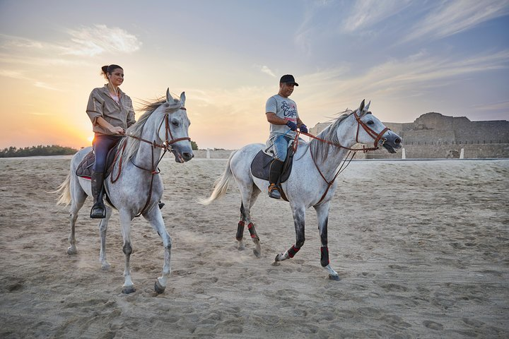 Arabian Horse Riding by Fort