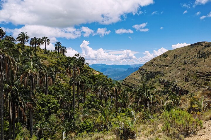 Hiking Tour in El Palmar from Sucre Bolivia - Photo 1 of 10