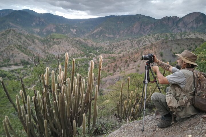 Plants and Habitats in the Elbow of the Andes - Photo 1 of 25