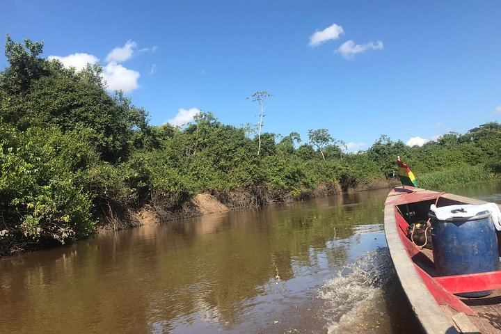 Rurrenabaque Pampas. 3 Days & 2 Nights. PRIVATE TOUR. (PLS ASK FOR SHARED TOUR) - Photo 1 of 25