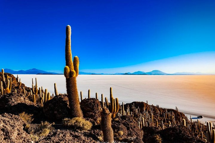 Salar De Uyuni (1Day) - Spanish Speaking Guide - Photo 1 of 25