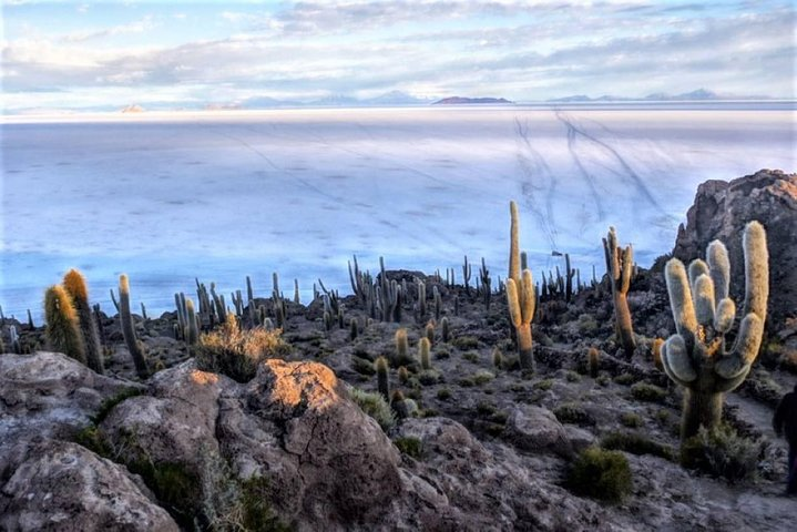 Uyuni Salt Flats (3 Days) English Speaking Guide - Photo 1 of 25